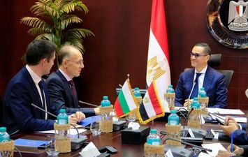 وزير الاستثمار 