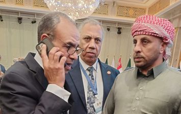 وزير الخارجية المصري 