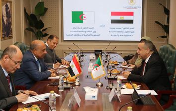 وزير الكهرباء 