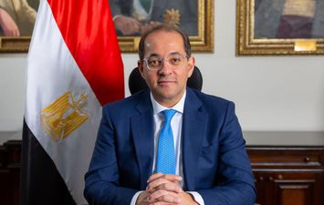 وزير المالية