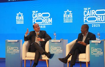 وزير المالية