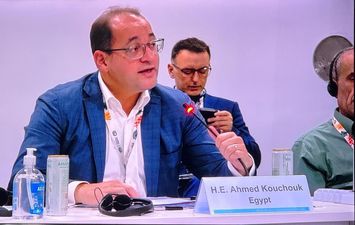 وزير المالية 