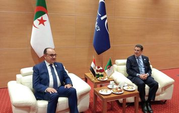 وزير قطاع الأعمال 