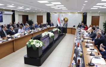 وزير قطاع الاعمال 