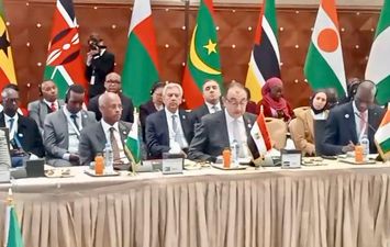 وزير قطاع الاعمال