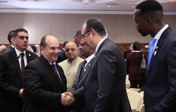 وزير قطاع الاعمال