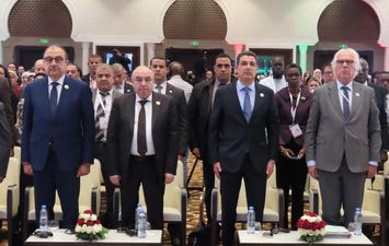 وزير قطاع الاعمال 