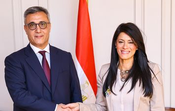 وزيرة التخطيط والتعاون الدولى