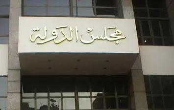 Lawsuit filed before the State Council to challenge remote litigation fees in Egypt
