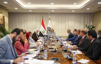 وزير قطاع الأعمال 