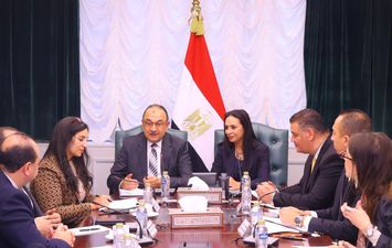 وزير قطاع الاعمال 