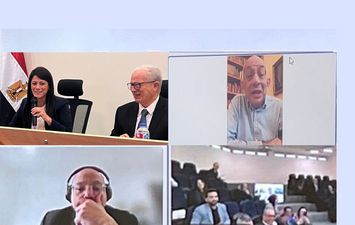 وزيرة التخطيط والتعاون الدولى 