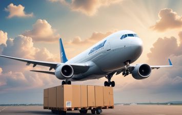 منظومة التسجيل المسبق للشحنات الجوية ACI