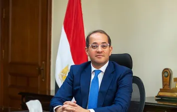 أحمد كوجك وزير المالية 