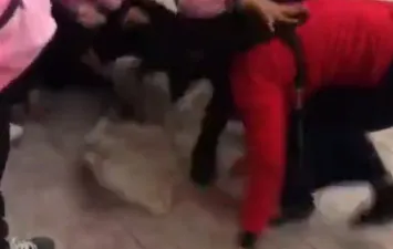 اعتداء طالبات على زميلتهم