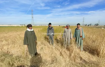 الاراضي الزراعيه 