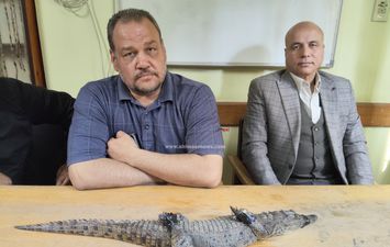 الدكتور إكرامي الأباصيري وتمساح مصرف بلبيس 