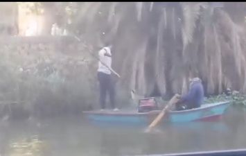 الصيد بالكهرباء 