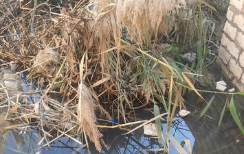 المياه الجوفية 