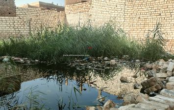 المياه الجوفية 