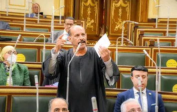 النائب فتحي قنديل