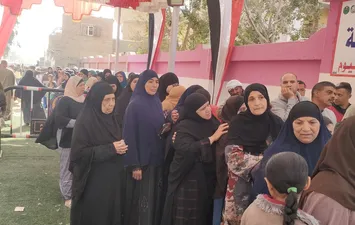 انتخابات الفيوم 