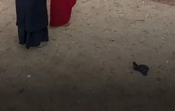 انتخابات مجلس النواب 