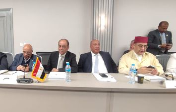 ايمن العشرى 