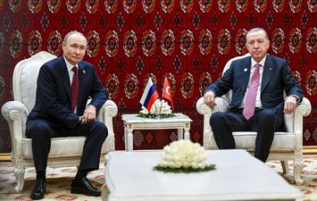 بوتين واردوغان