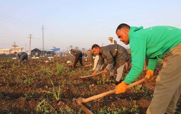 جانب من الحادث 