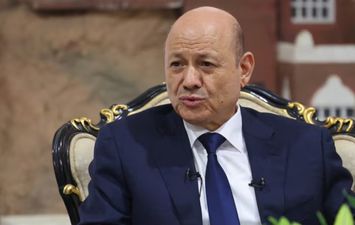 رشاد العليمي 