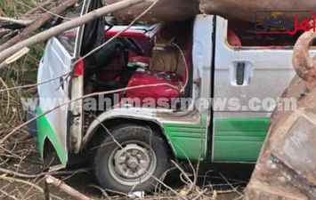 سقوط شجرة في البحبرة