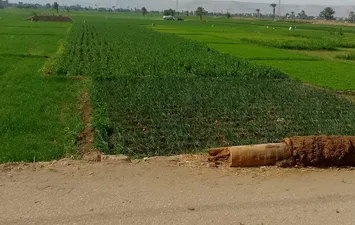 سيارات الكسح