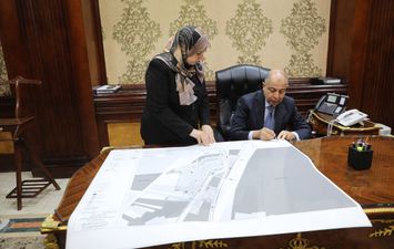 محافظ المنيا 