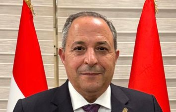 محافظ بورسعيد يصدق على إقامة شلترين لإيواء الكلاب الضالة بمدينتي بورسعيد و بورفؤاد 