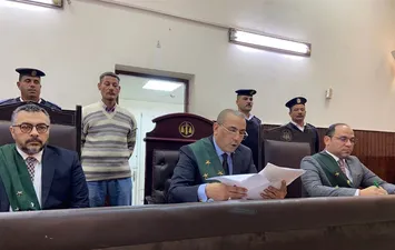 محكمة جنايات المنيا 