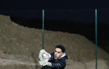 مصطفى شوبير 