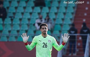 مصطفى شوبير