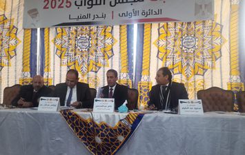 نتيجة انتخابات مجلس النواب بالمنيا 