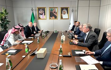 وزير البترول 