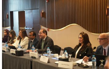 وزير المالية