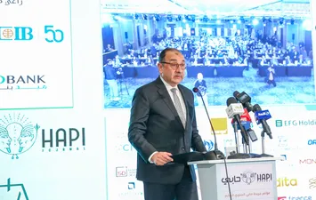 وزير قطاع الاعمال