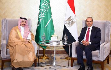 وزيرا الخارجية المصري والسعودي