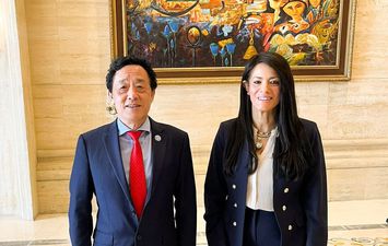 وزيرة التخطيط