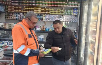 حملات التفتيش 