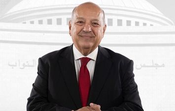 النائب محمد الوحش وكيل أول مجلس النواب