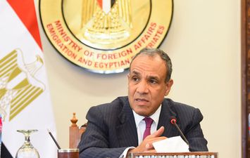 بدر عبد العاطي