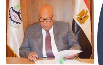 أيمن العشرى