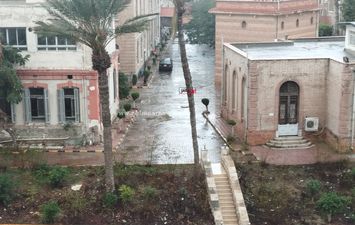 الأمطار في الإسكندرية 