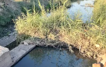 الترعة المرة بقنا 